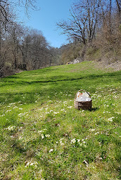 Photo n°2 de le jardin d'yzeron à Yzeron (Cours de cuisine)