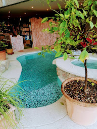 Photo n°13 de 1 2 3 Piscines à Lachapelle-sous-Aubenas (Magasin de matériel pour piscines)