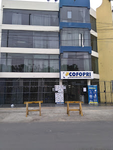 Cofopri 1