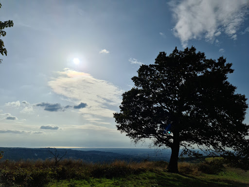 Tuscolo - Visual