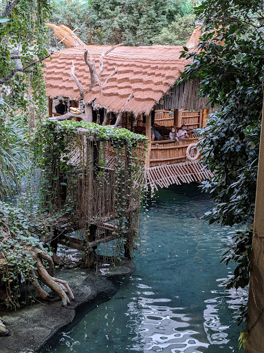 Stiftung Hagenbeck Gallery - Germany