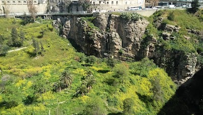 Photos of El Ktantara Garden