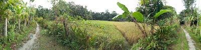 Photos of Jamalpur Jame Mosjid
