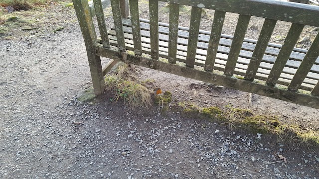 Friars Crag