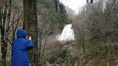 Youngs River Falls