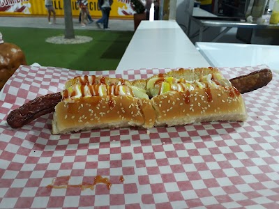 Photos of miDog.club