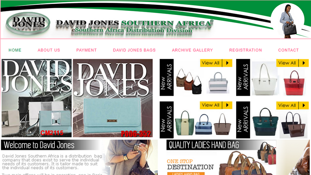 David Jones Handbags