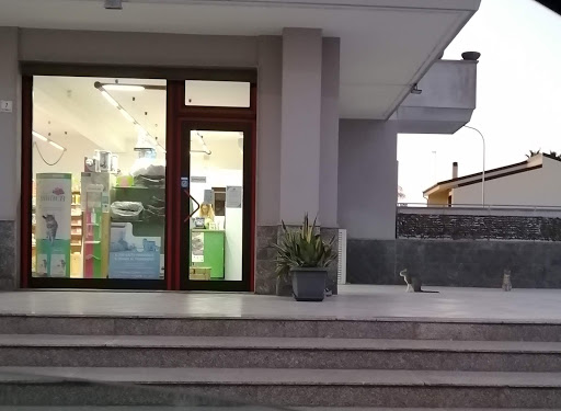 John e i suoi Amici - Visual