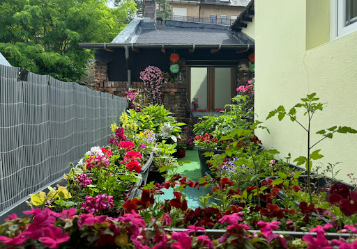 Hotel Gasthaus Zum Fürstenberg - Thumbnail