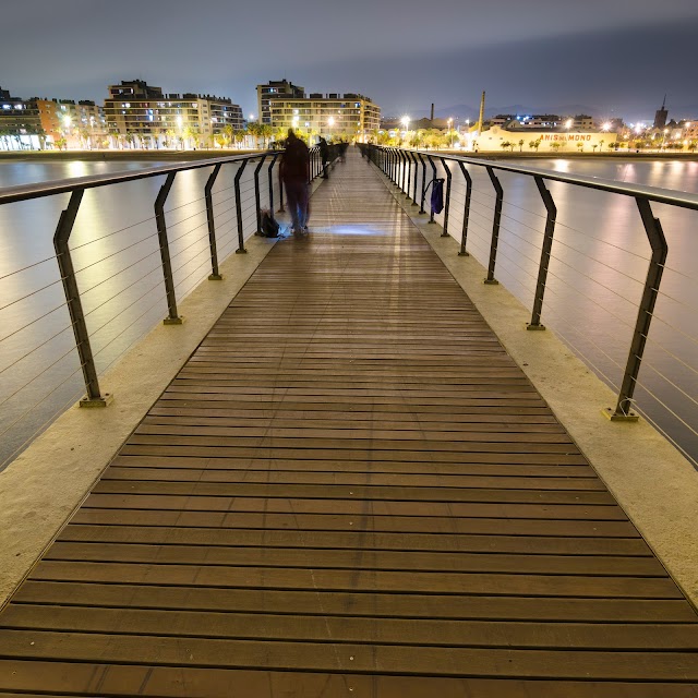 Pont del Petroli