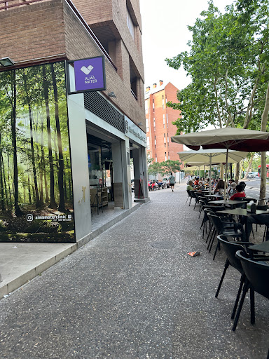 Bar Parque de los Príncipes - Thumbnail