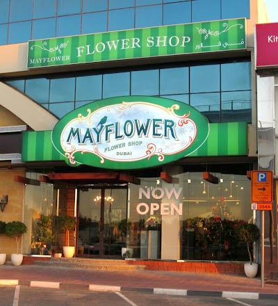 Photos of Mayflower Flower Shop