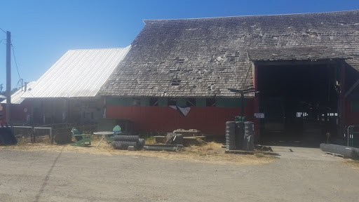Belfast Feed Store - Thumbnail