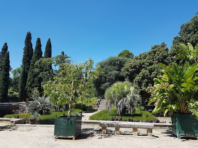 Jardin des plantes de Montpellier