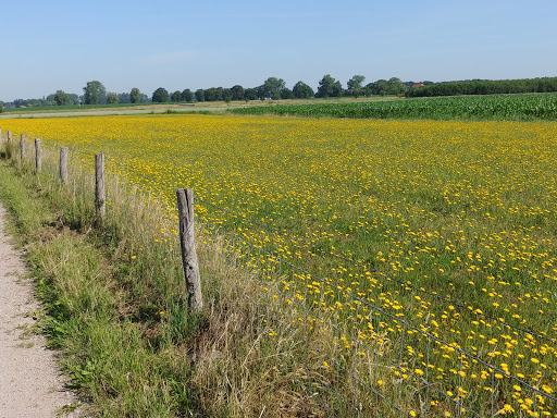 Oudlandsedijkje/ Muggenpolderbaantje - Thumbnail