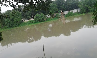 Photos of Bilanaliya mayejauddina high school
