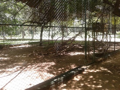 Photos of Gajaba Zoo