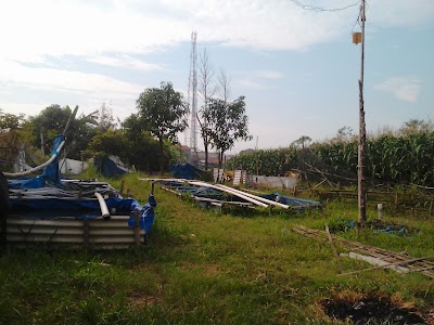 Photos of AURA FARM*Benih Ikan Lele