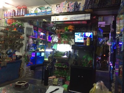 Photos of Irel Aquarium