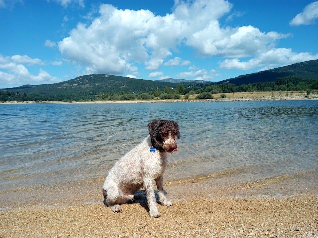 Embalse Navacerrada