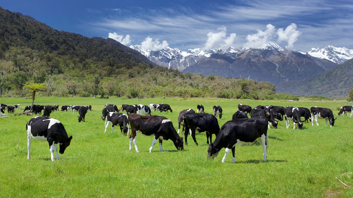 California Farm Insurance - Thumbnail