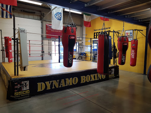 Dynamo Boxing - Visual