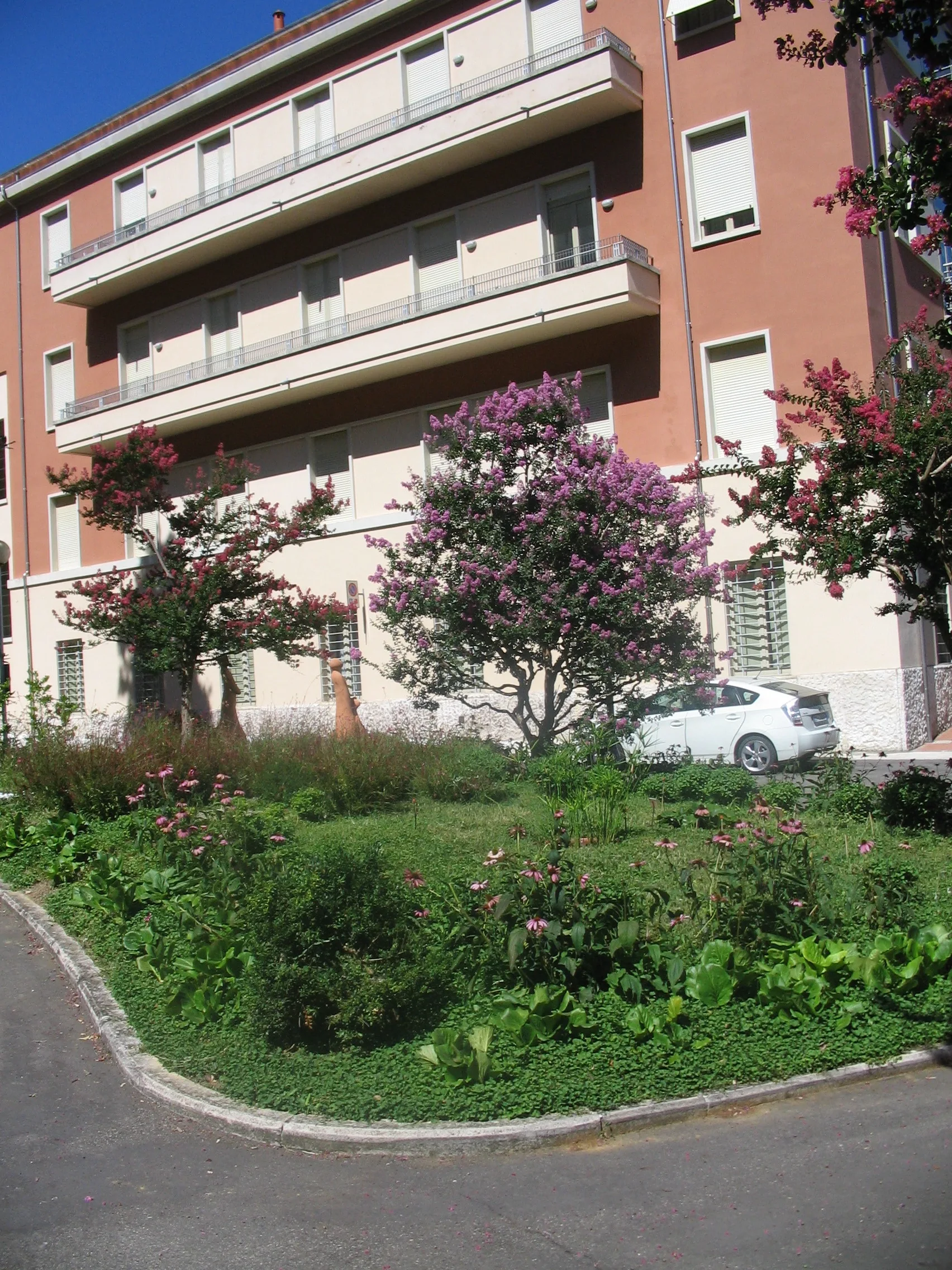 Casa di Accoglienza Anna Guglielmi Societa' Cooperativa Sociale