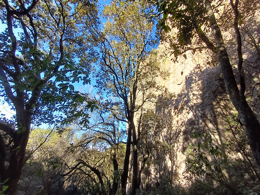 Dexcani Alto Jilotepec - Thumbnail