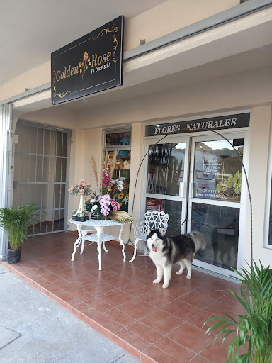 Golden Rose Floreria Logo
