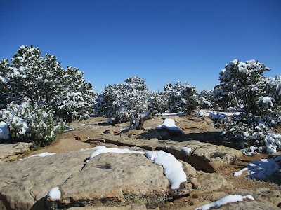 Cold Shivers Point Overlook