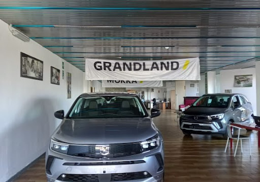 Savoia Auto - Thumbnail