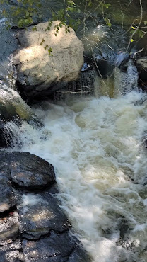 Chattahoochee River National Recreation Area by null