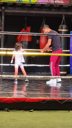 Pancho Rosales gym box Gallery - Mexico