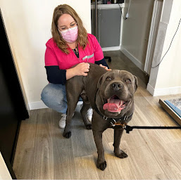 Photo n°12 de Clinique Vétérinaire Mora à Enghien-les-Bains (Vétérinaire)