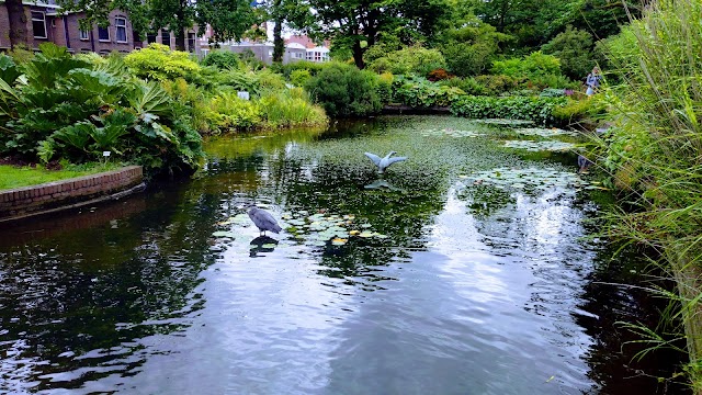 Hortus botanicus Leiden