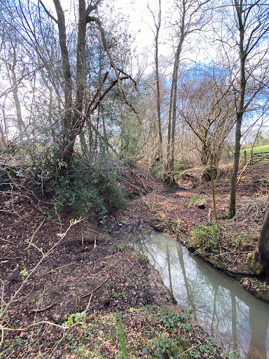 Little Foxes Copse - Woodland Trust - Thumbnail