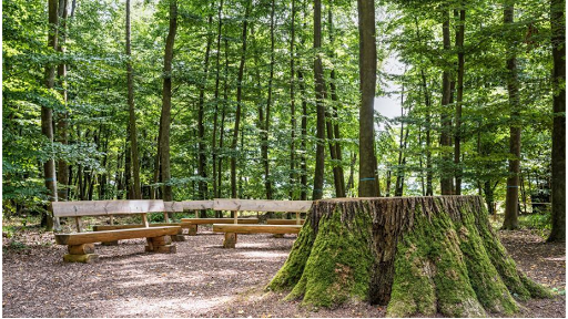 FriedWald Lich - Visual