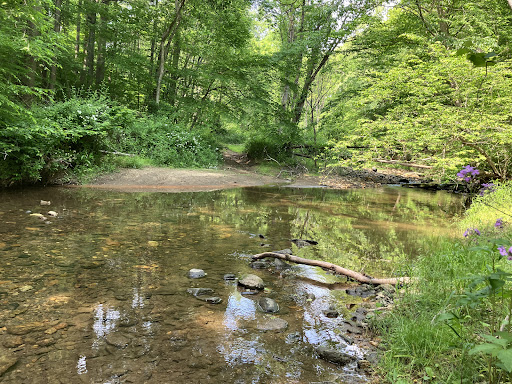 Serenity Ridge Natural Burial Cemetery and Arboretum - Thumbnail