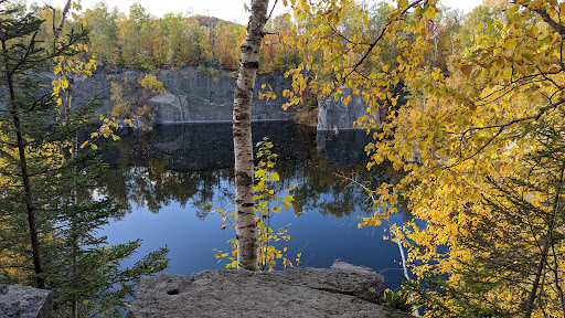 The Quarries Disc Golf Course - Thumbnail