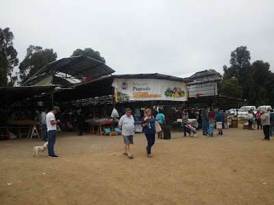 Photos of Recinto FERIA LIBRE