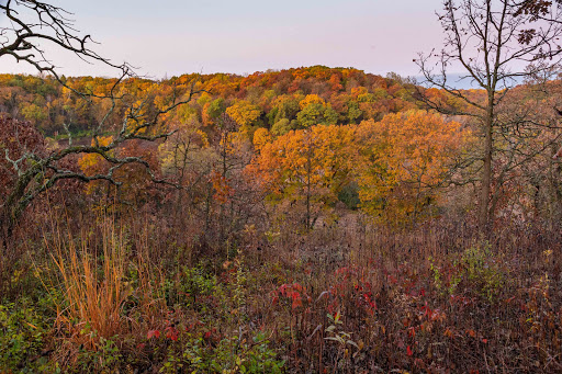 Cross Plains State Park - Thumbnail