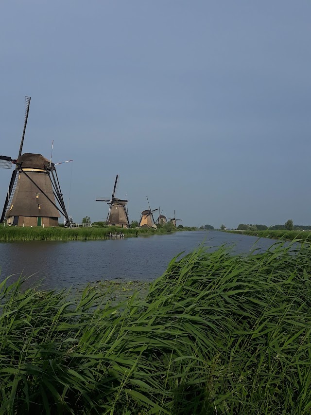 Kinderdijk molens