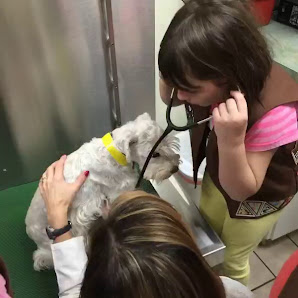Photo of Bowman Animal Hospital and Cat Clinic Inc Vídeos