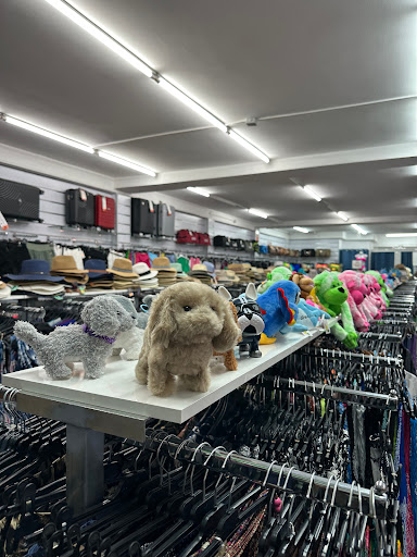 JANE SHOP - Thumbnail