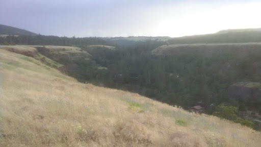 Mosier Community - Visual