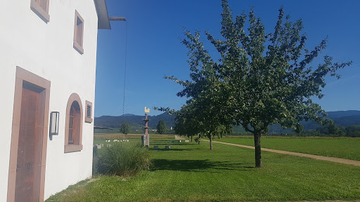 Villa artis, Franz-Köberle-Kunst- und Kulturzentrum und Café artis - Thumbnail