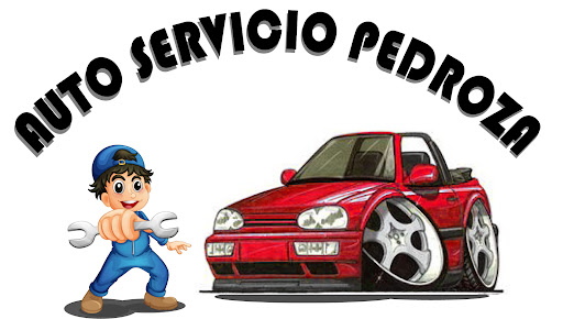 Auto Servicio Pedroza