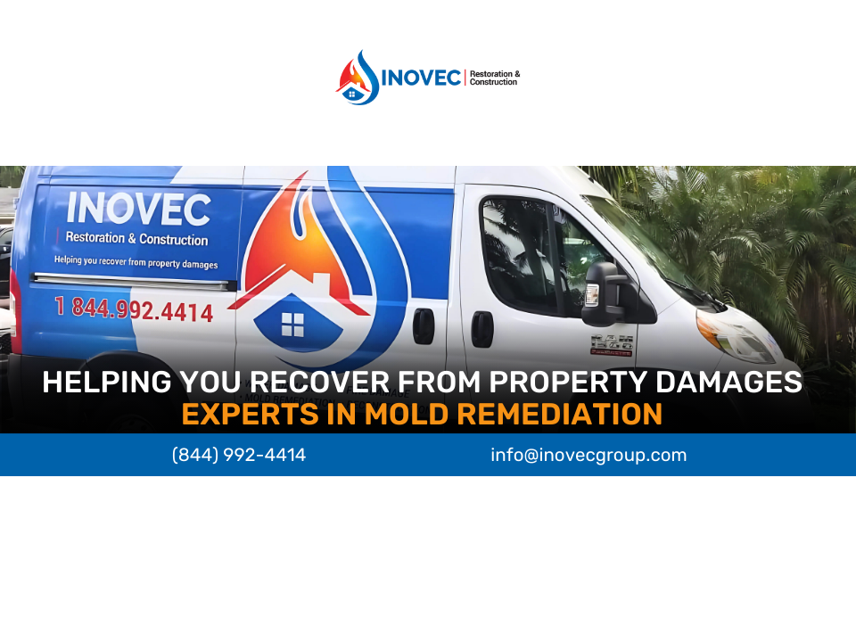 Inovec Restoration & Construction photo