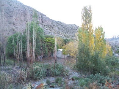 Photos of Camping Agreste El Palque