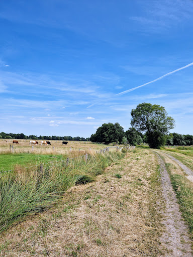 NSG Schnapbrokermoor